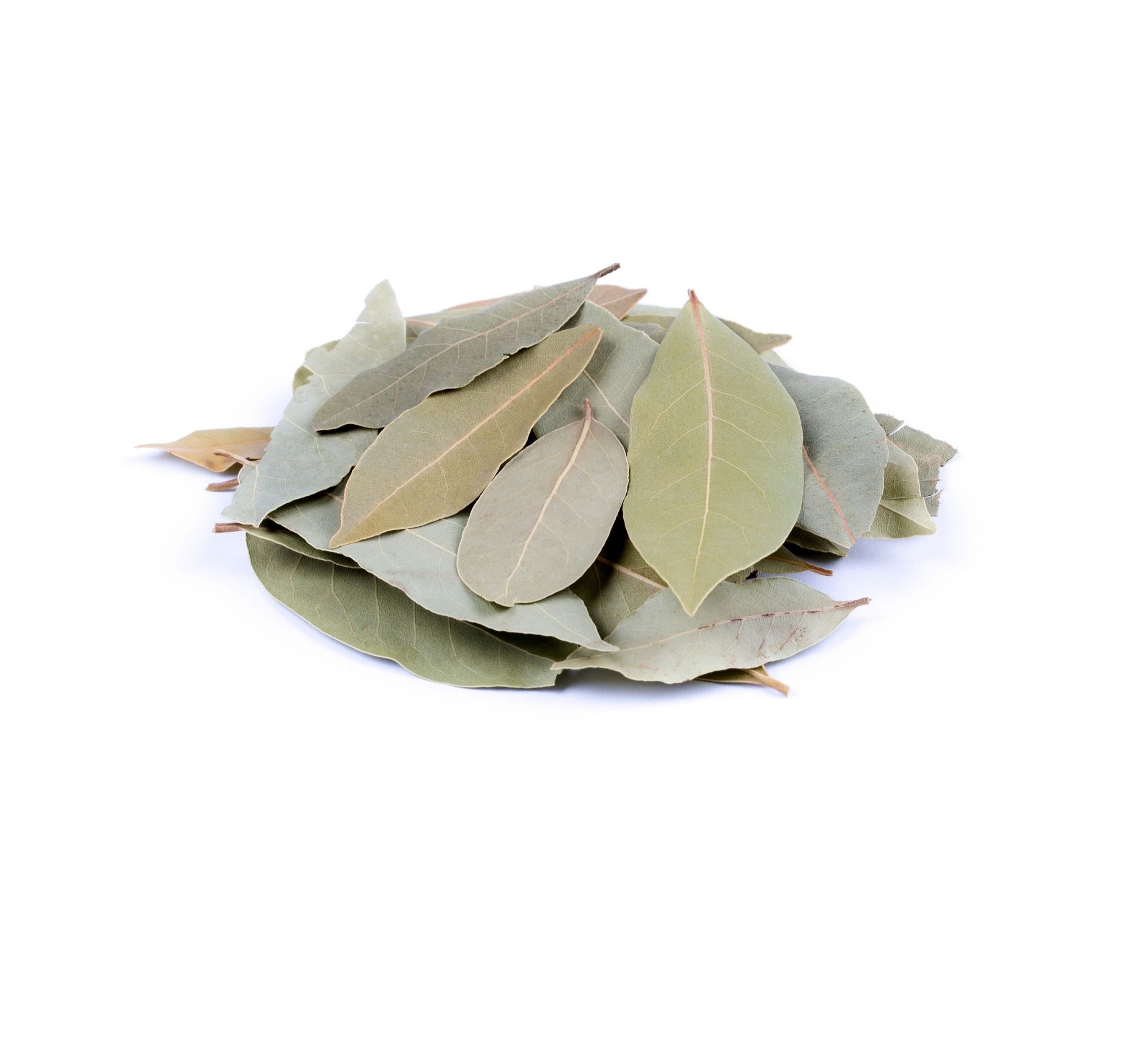 Dried Turkish Laurel Leaves — 爱琴海