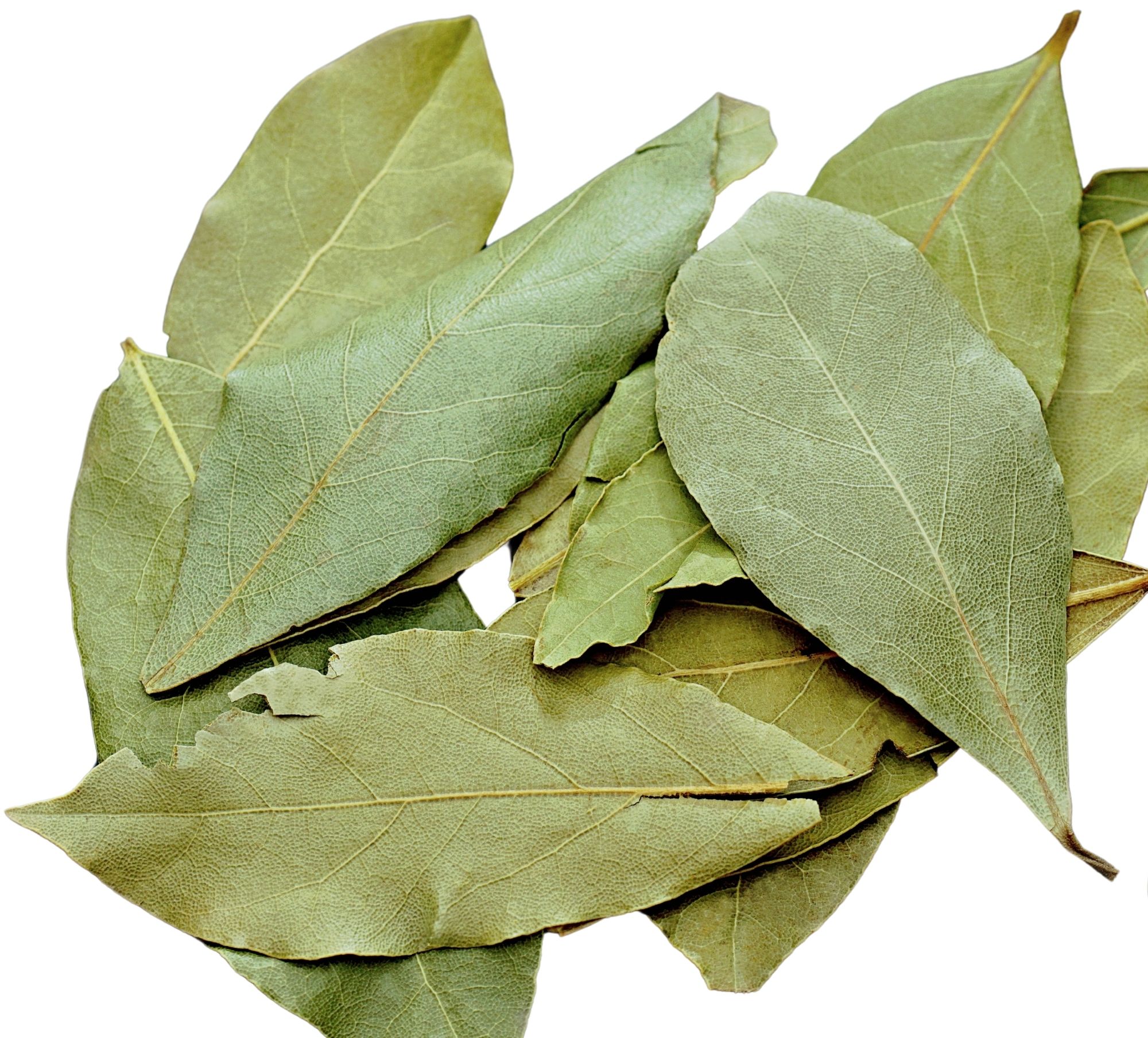 Dried Turkish Laurel Leaves — 马尔马拉 / 黑海